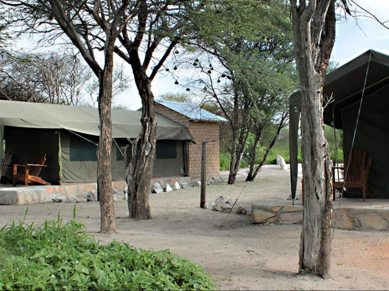 Fiume Lodge Bushman Excursion